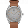 Railmaster Omega Co-Axial Master Chronometer 40 Stainless Steel / Silver / Strap