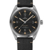 Railmaster Co-Axial Master Chronometer 40 Stainless Steel / Grey / Strap