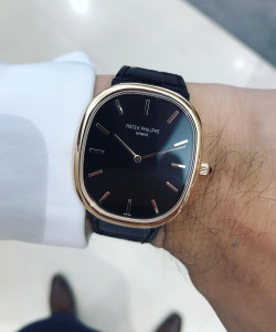 Wristcheck Patek Philippe