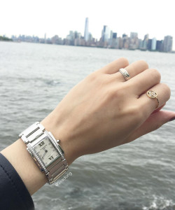 Wristcheck Patek Philippe