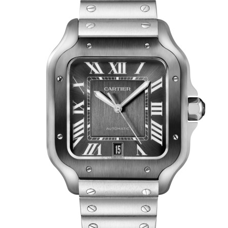 Cartier Santos de Cartier