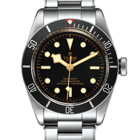 Tudor Black Bay